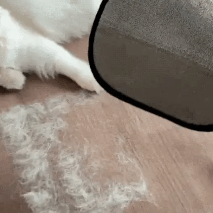 Petrra FurLift™ Pet Hair Removal Gloves (Upgraded)